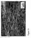 Fig. 15 - Fabrication of twisted and non-twisted nanofiber yarns