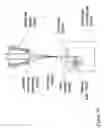 Fig. 20 - Fabrication of twisted and non-twisted nanofiber yarns
