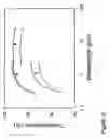 Fig. 26 - Fabrication of twisted and non-twisted nanofiber yarns