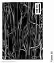 Fig. 29 - Fabrication of twisted and non-twisted nanofiber yarns