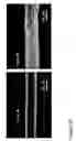 Fig. 53 - Fabrication of twisted and non-twisted nanofiber yarns