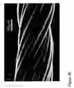 Fig. 59 - Fabrication of twisted and non-twisted nanofiber yarns