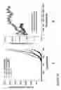 Fig. 82 - Fabrication of twisted and non-twisted nanofiber yarns