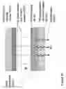 Fig. 87 - Fabrication of twisted and non-twisted nanofiber yarns