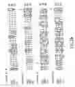 Fig. 07 - DR3 antibodies