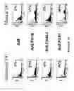 Fig. 35 - Serotype of adenovirus and uses thereof