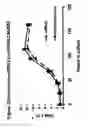 Fig. 41 - Serotype of adenovirus and uses thereof