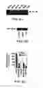 Fig. 07 - Apo-3 ligand polypeptide