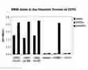 Fig. 01 - Compositions and methods for diagnosing and treating cancer