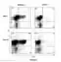 Fig. 08 - Methods of Treating Graft Versus Host Disease