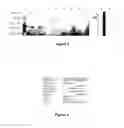 Fig. 03 - Polypeptides and immunogenic conjugates capable of inducing antibodies against pathogens, and uses thereof