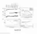 Fig. 04 - Polypeptides and immunogenic conjugates capable of inducing antibodies against pathogens, and uses thereof