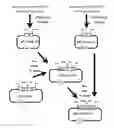 Fig. 01 - Methods for diagnosing and treating CNS disorders by trans-blood-brain barrier delivery of protein compositions