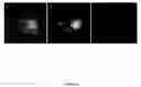 Fig. 02 - Polyelectrolyte Multilayer Film, Preparation And Uses Thereof