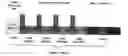Fig. 02 - Method For Applying Integrated Pre-Treatment Layers Containing Dicarboxylic Acid Olefin Copolymers To Metallic Surfaces