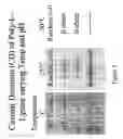 Fig. 06 - Detection of conformationally altered proteins and prions