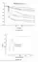 Fig. 07 - Immunosensors: scFv-linker design for surface immobilization