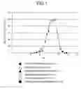 Fig. 02 - Method for producing tripeptides and/or peptides longer than tripeptides