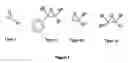 Fig. 02 - Recombinant Yeasts for Synthesizing Epoxide Hydrolases