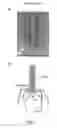 Fig. 02 - Modified bacteriocins and methods for their use
