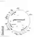 Fig. 08 - Nitrile hydratases from metagenome libraries