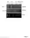 Fig. 04 - Methods and means for altering fiber characteristics in fiber-producing plants