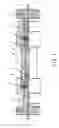 Fig. 02 - Column packing and concentrating column for the analysis of metallic elements