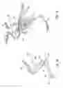 Fig. 02 - Processing of Carcass Parts of Slaughtered Poultry