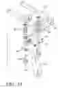 Fig. 09 - Rodeo or riding device