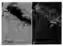 Fig. 01 - Inhibition of invasive remodelling