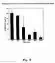 Fig. 09 - Inhibition of invasive remodelling