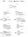 Fig. 01 - Pharmacodynamically enhanced therapeutic proteins
