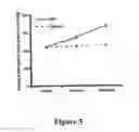 Fig. 06 - Anti-hypertensive molecules and process for preparation thereof