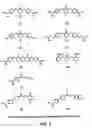 Fig. 02 - Boronic acid aryl analogs