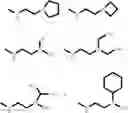 Fig. 18 - Carbamoyl-substituted spiro derivative