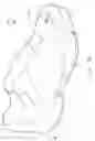 Fig. 02 - Outsole for an article of footwear