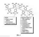 Fig. 02 - Biomimetic compounds and synthetic methods therefor