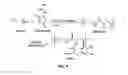 Fig. 09 - Biomimetic compounds and synthetic methods therefor