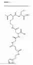 Fig. 27 - Nucleic acids encoding polyvalent protein complexes