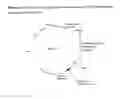 Fig. 02 - Process for the Purification of Recombinant Granulocyte-Colony Stimulating Factor