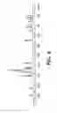 Fig. 07 - Salt forms of [R-(R*,R*)]-2-(4-fluorophenyl)-β, δ-dihydroxy-5-(1-methylethyl)-3-phenyl-4-[(phenylamino)Carbonyl]-1H-pyrrole-1-heptanoic acid