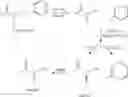 Fig. 45 - Isotopically labeled alpha-keto acids and esters