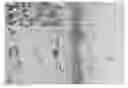 Fig. 01 - TISSUE PERFORMANCE VIA HYDROLYSIS AND CROSS-LINKING