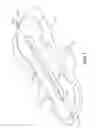 Fig. 02 - PAD