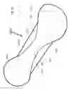 Fig. 07 - Article, Such As Disposable Absorbent Article, Maintaining A Concave Cup-Like Shape During Use