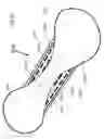 Fig. 08 - Article, Such As Disposable Absorbent Article, Maintaining A Concave Cup-Like Shape During Use