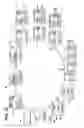 Fig. 24 - Insulin pump for determining carbohydrate consumption