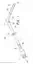 Fig. 02 - Multiple wire guide introducer system