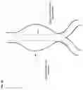 Fig. 11 - Active blood vessel sleeve