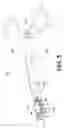 Fig. 06 - Elliptical Excision Clamp